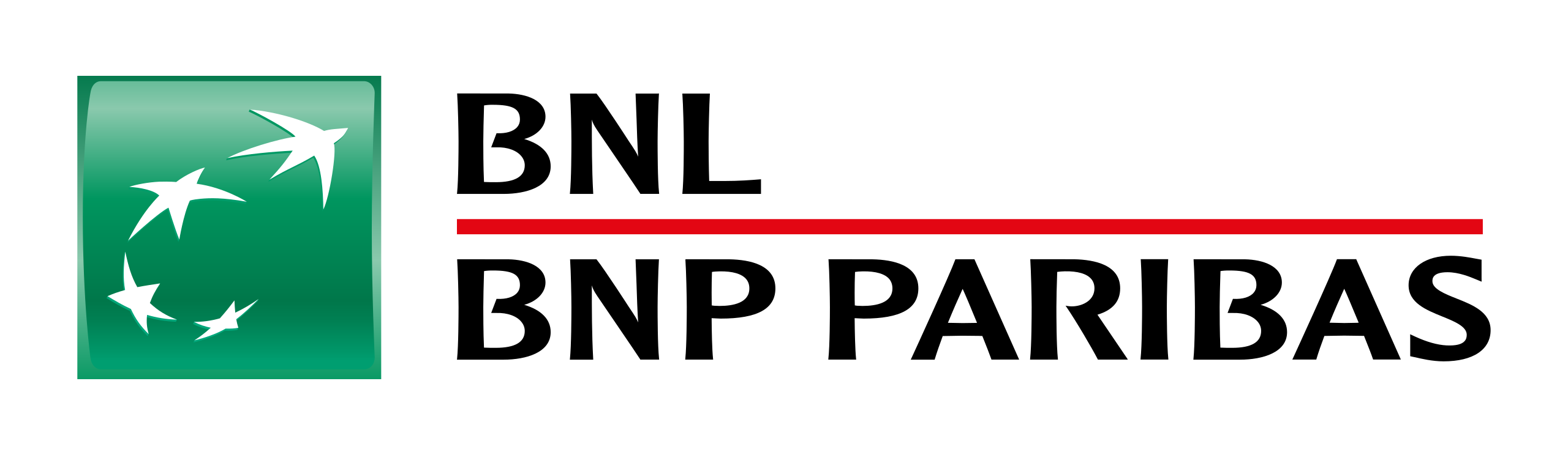BNL logo